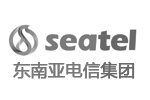 东南亚电信集团